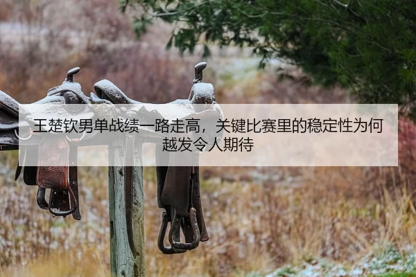 wang-chu-qin-nan-dan-zhan-ji-yi-lu-zou-gao-guan-jian-bi-sai-li-de-wen-ding-xing-wei-he-yue-fa-ling-ren-qi-dai-2-943.jpg