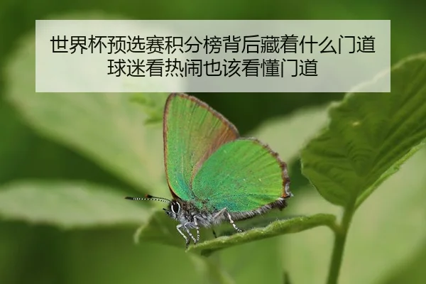 shi-jie-bei-yu-xuan-sai-ji-fen-bang-bei-hou-cang-zhe-shen-me-men-dao-qiu-mi-kan-re-nao-ye-gai-kan-dong-men-dao-2-120.jpg